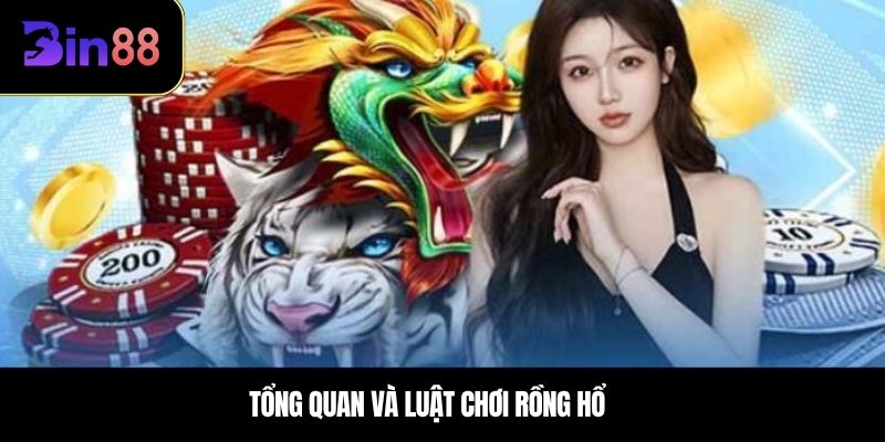 Tổng quan và luật chơi Rồng Hổ