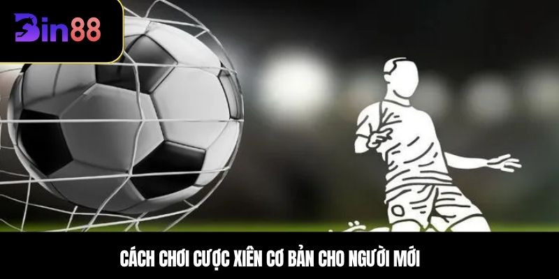 Cách chơi cược xiên cơ bản cho người mới