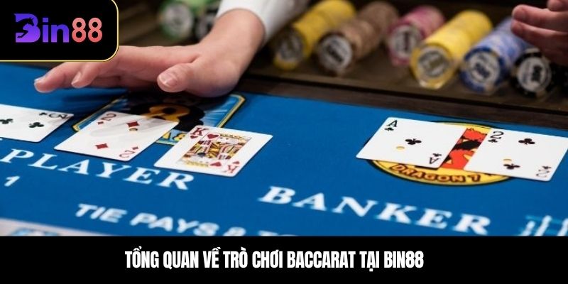 Tổng quan về trò chơi baccarat tại BIN88